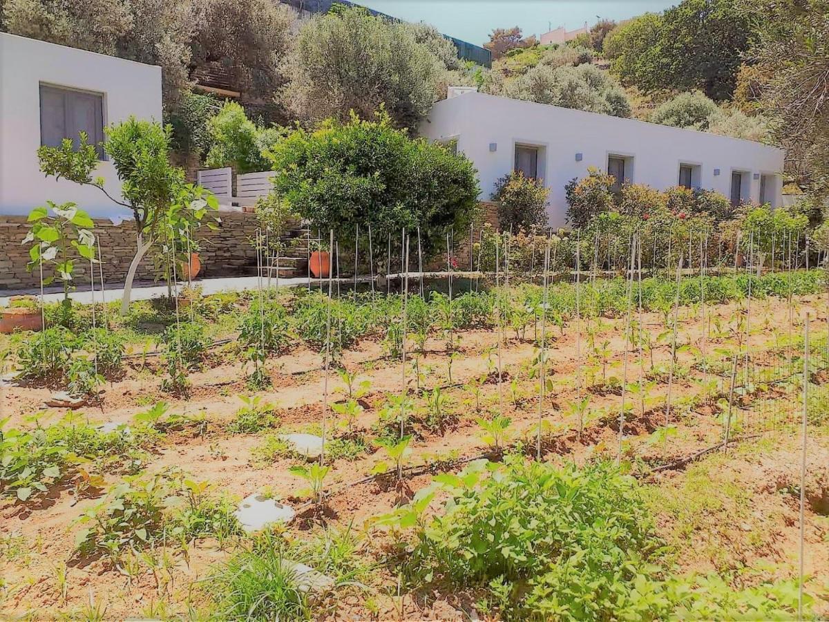 Small Paradise Andros Town Exterior photo